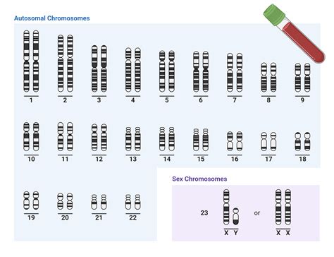 Profil trombofilii ereditare / 15 mutatii genetice